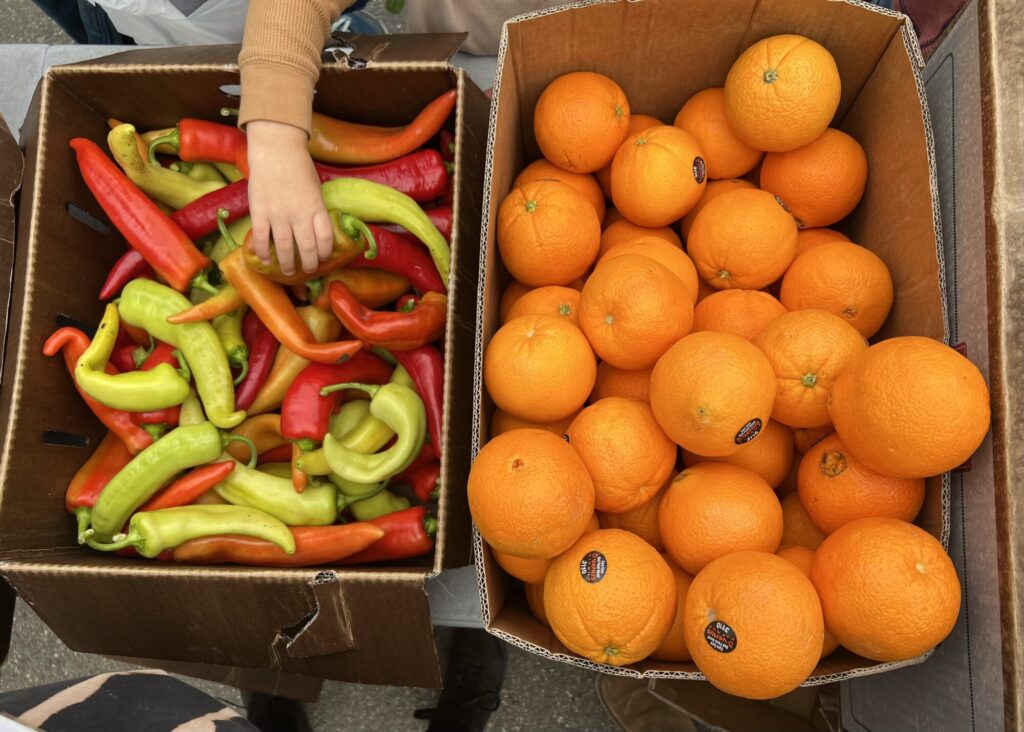 A top-down photo of two boxes of farm-fresh produce. A child reaches their hand into a box of red and green peppers. To the right is a vibrant box of oranges.